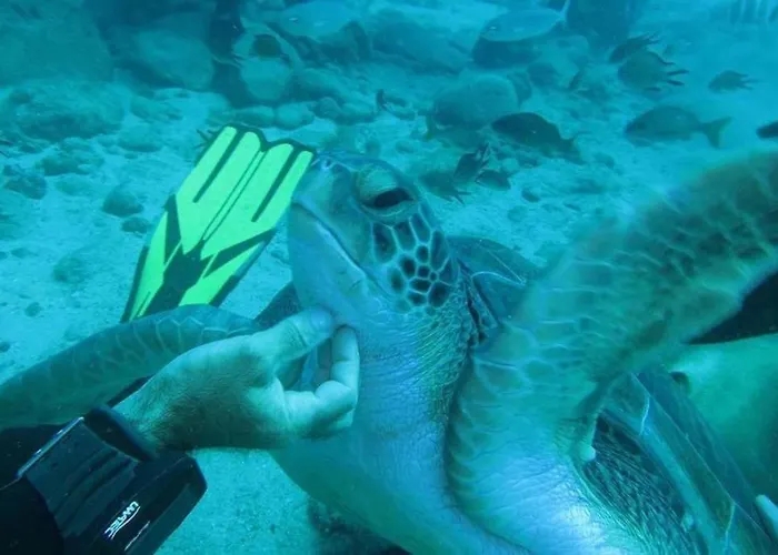 Ocean View The Sunset Costa Adeje